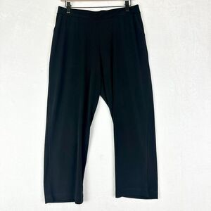 Clara Sunwoo Slinky Pull On Cropped Pants Size Large Black Travel Minimalist